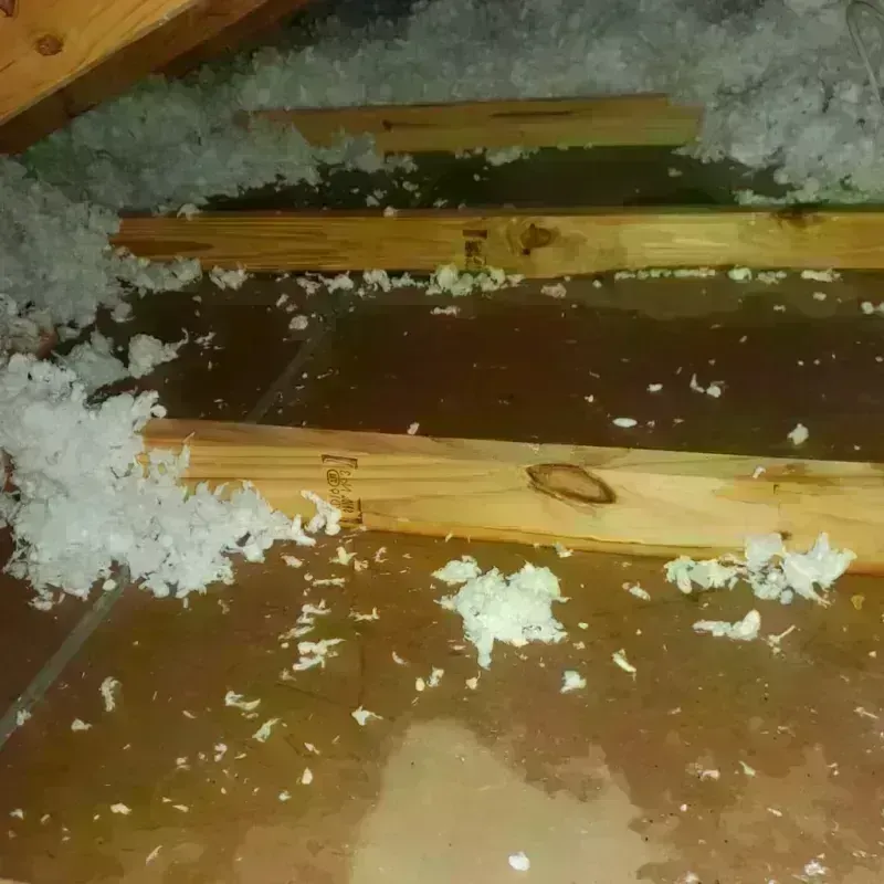 Attic Water Damage in Pioche, NV